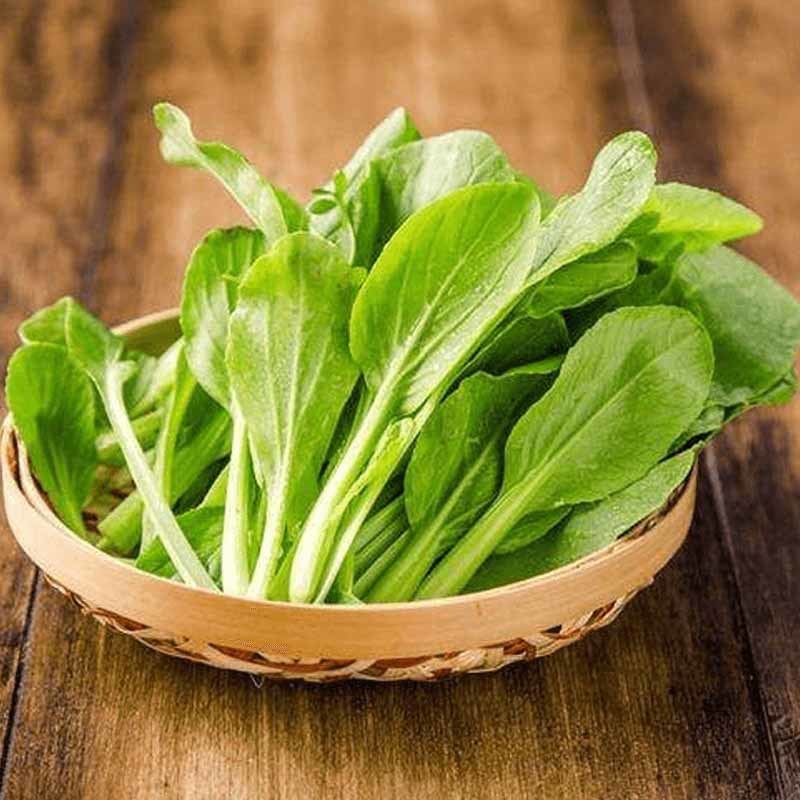 扬州食材批发